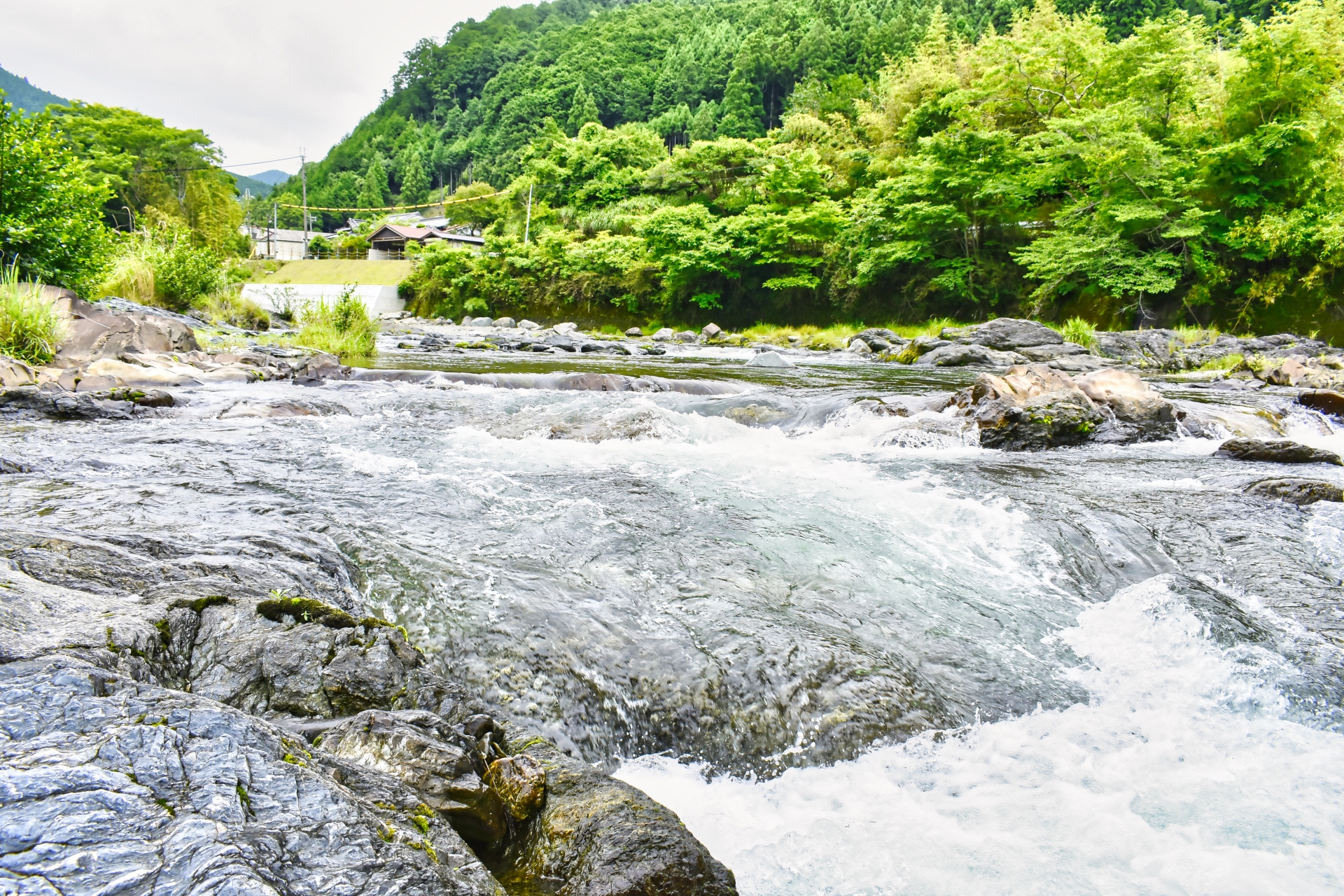 22097030_m_清流と緑の風景_コメート１.jpg